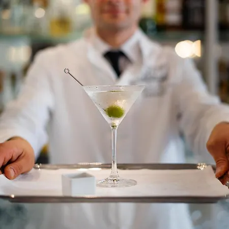 马杰斯迪克帕拉斯酒店 酒店