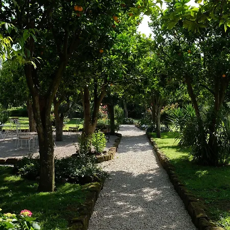 Hotel Majestic Palace 4*